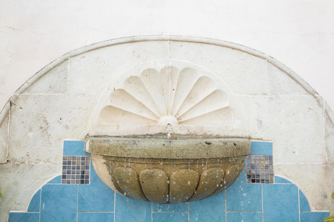 Arisa Hotel Oaxaca Екстериор снимка